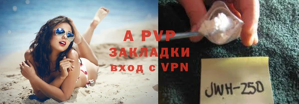 стаф Заводоуковск