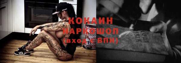 стаф Заводоуковск
