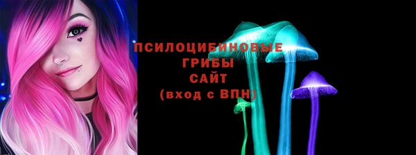 ПСИЛОЦИБИНОВЫЕ ГРИБЫ Заволжск