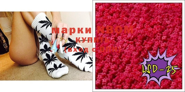 стаф Заводоуковск