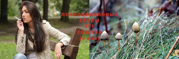 стаф Заводоуковск