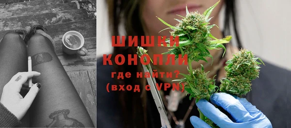 стаф Заводоуковск