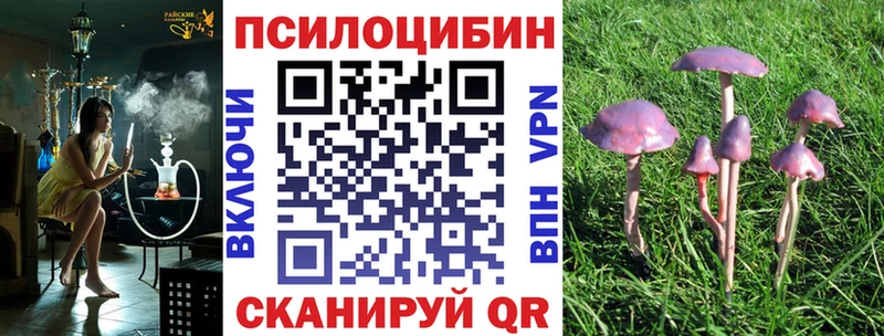 Псилоцибиновые грибы GOLDEN TEACHER  Купить  Ладушкин 